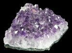 Amethyst Crystal Cluster - Uruguay #30562-1